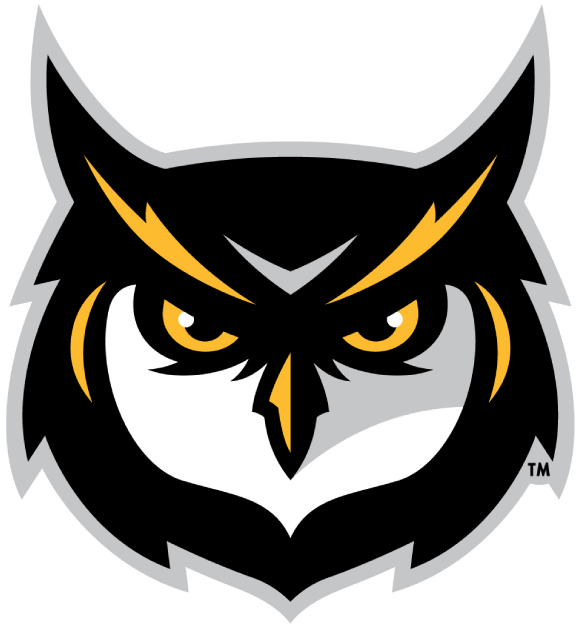 Kennesaw State Owls 2012-Pres Alternate Logo v3 DIY iron on transfer (heat transfer)